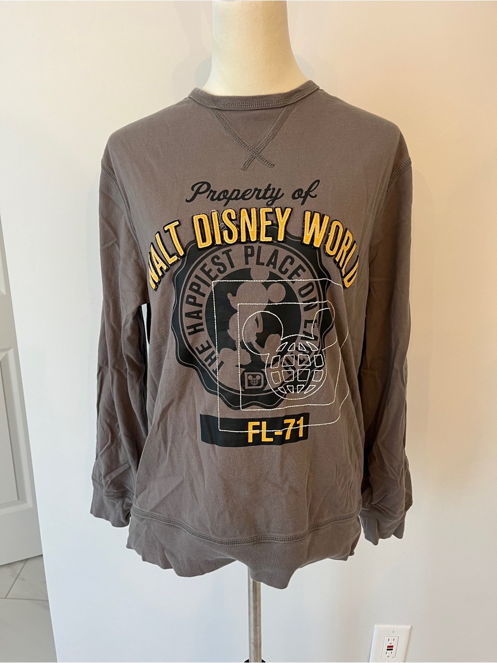 Disney Gray Graphic Walt Disney World Sweatshirt